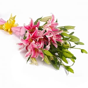 Bunch of 12 Pink Lilies